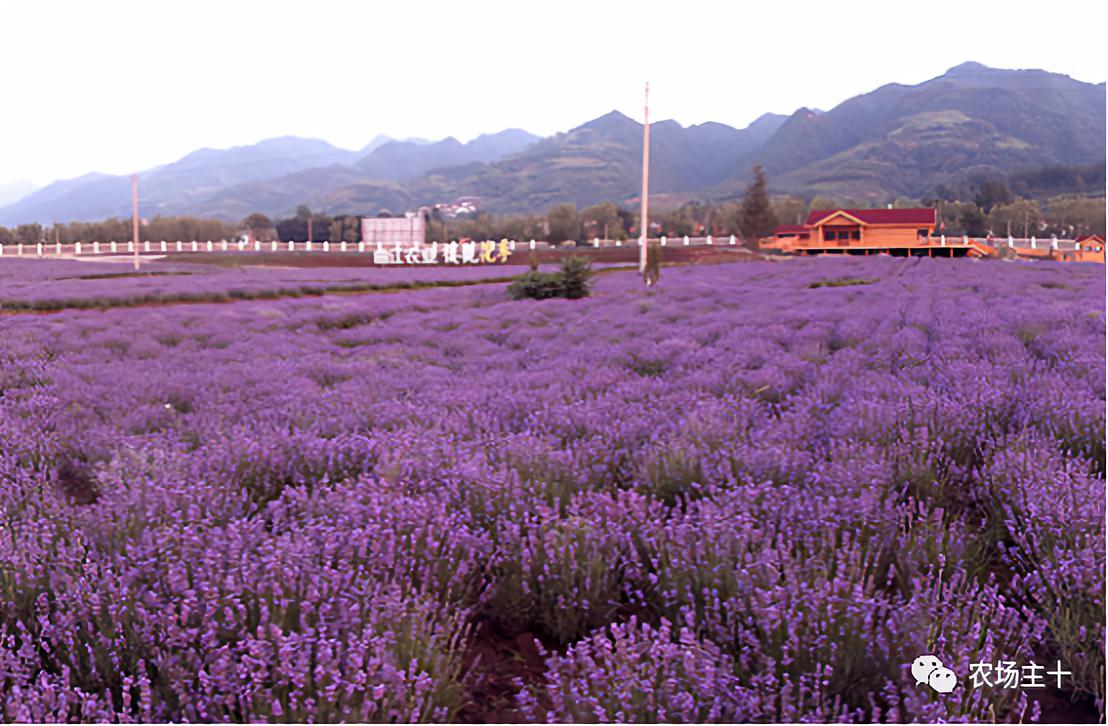 成为农业大户的条件,中国农场主的要求