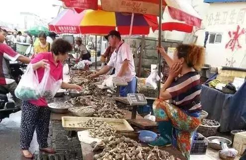 开海了！抖音上的小姐姐，来烟台吧！海鲜管够……