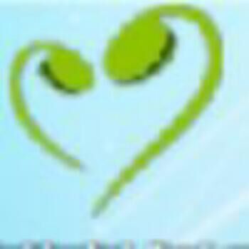 店铺淘客运营干货讲解,店铺新手怎么开始快速运营