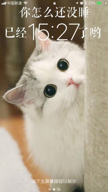 如何自己制作动态壁纸视频教程,如何制作视频动态壁纸