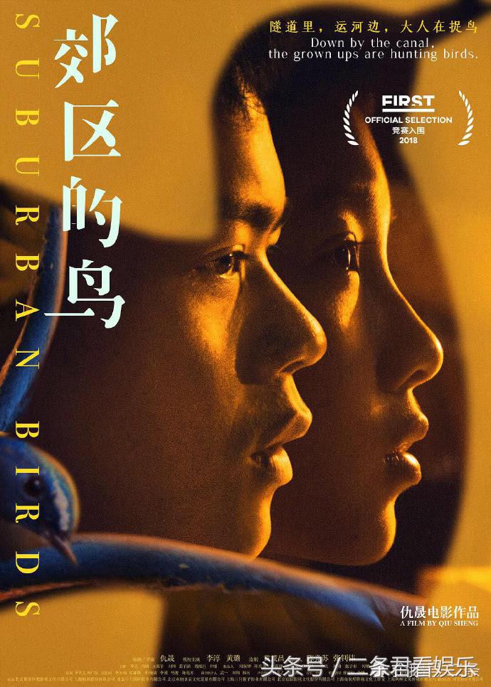 最近这几年最值得推荐的电影,最值得观看的十部华语电影