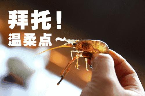 苏州皮市街美食攻略,苏杭旅游攻略苏州美食