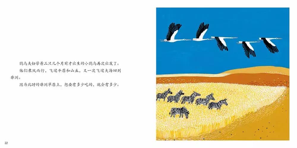 最近流行适合女性的一套书,平价颜值又高容量大的书