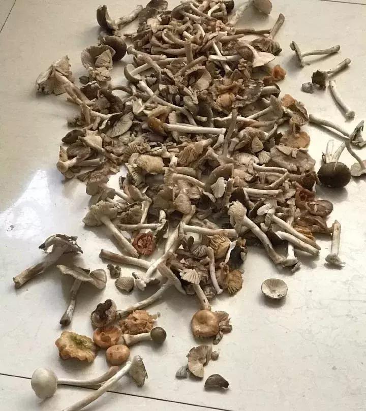 喝了碗汤，一家3口中毒！明明用土法验过毒，医生说真荒唐！