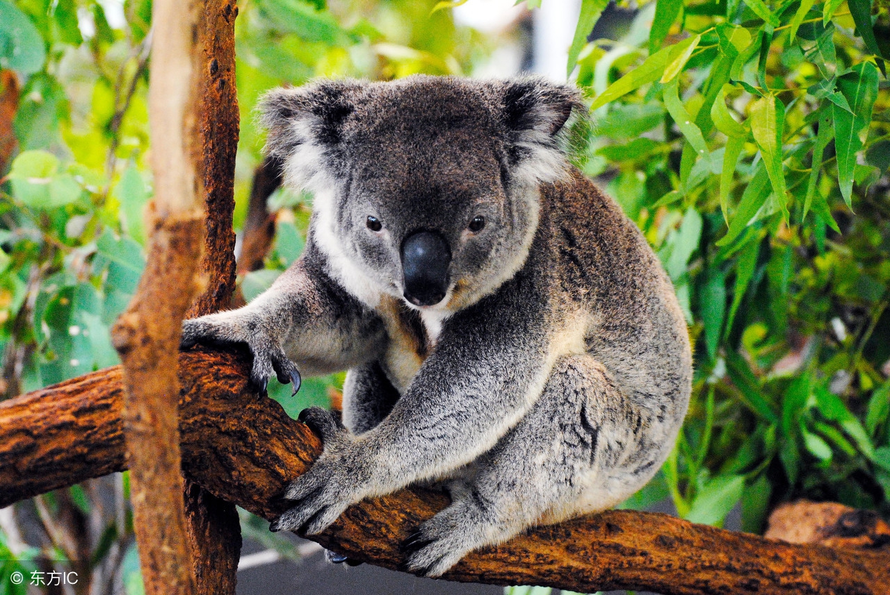 世界公认十大主题乐园 (盘点国外7大主题乐园)