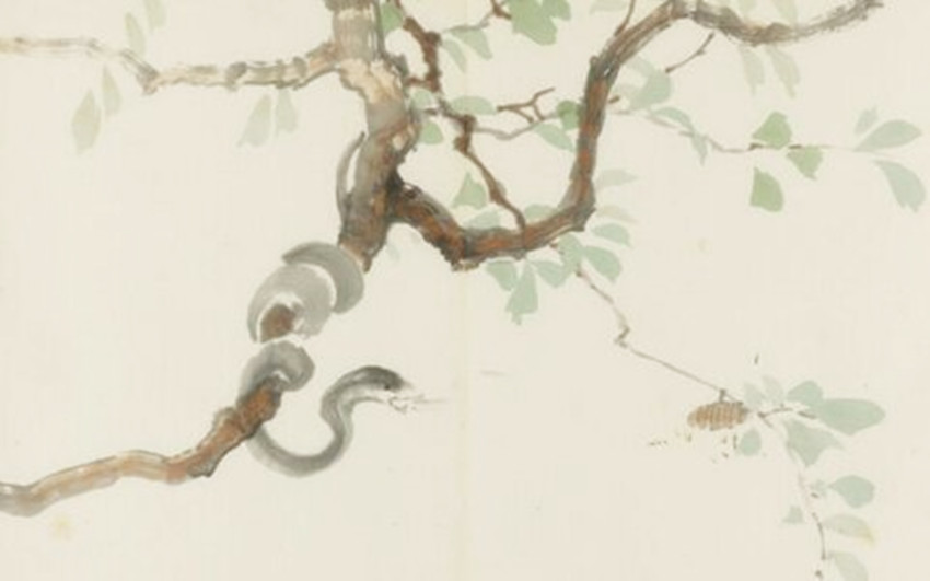 为什么属蛇和属蛇的能说到一块,属马为什么不喜欢属蛇