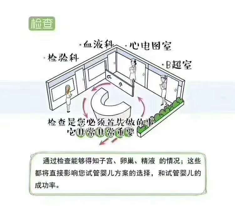 揭秘试管婴儿在试管中的成长记,一分钟就能读懂的试管婴儿全流程