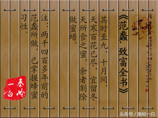 土蜂蜜四大名蜜,最好吃的土蜂蜜