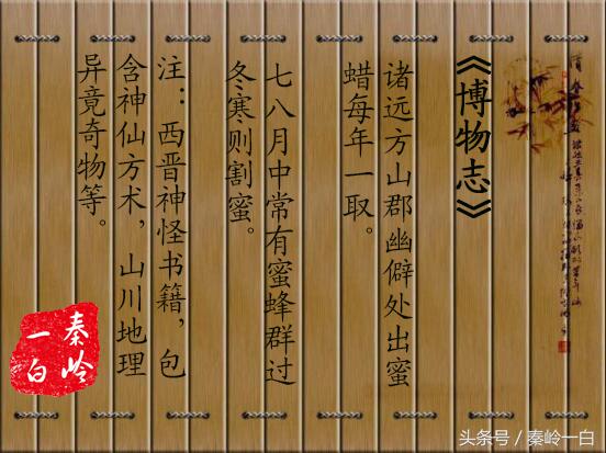 土蜂蜜四大名蜜,最好吃的土蜂蜜