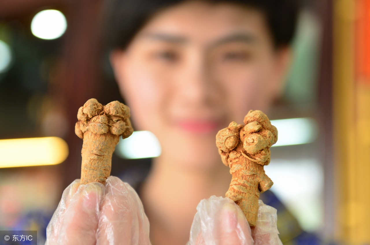 三七头数多和头数少功效一样吗,三七的头数大小的功效有啥区别