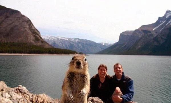 动物搞笑视频抓拍一瞬间,盘点动物搞笑瞬间视频