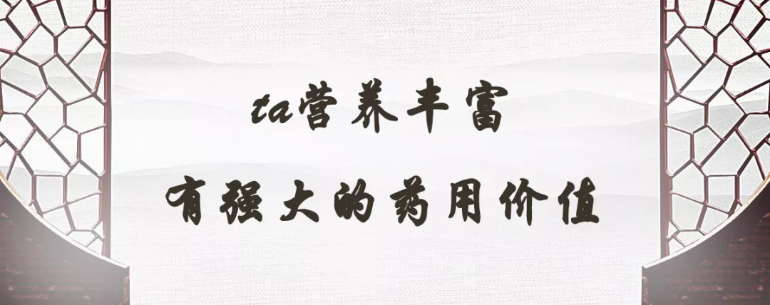 「百草园」那些“悬壶济世”的植物(七十三)苦参