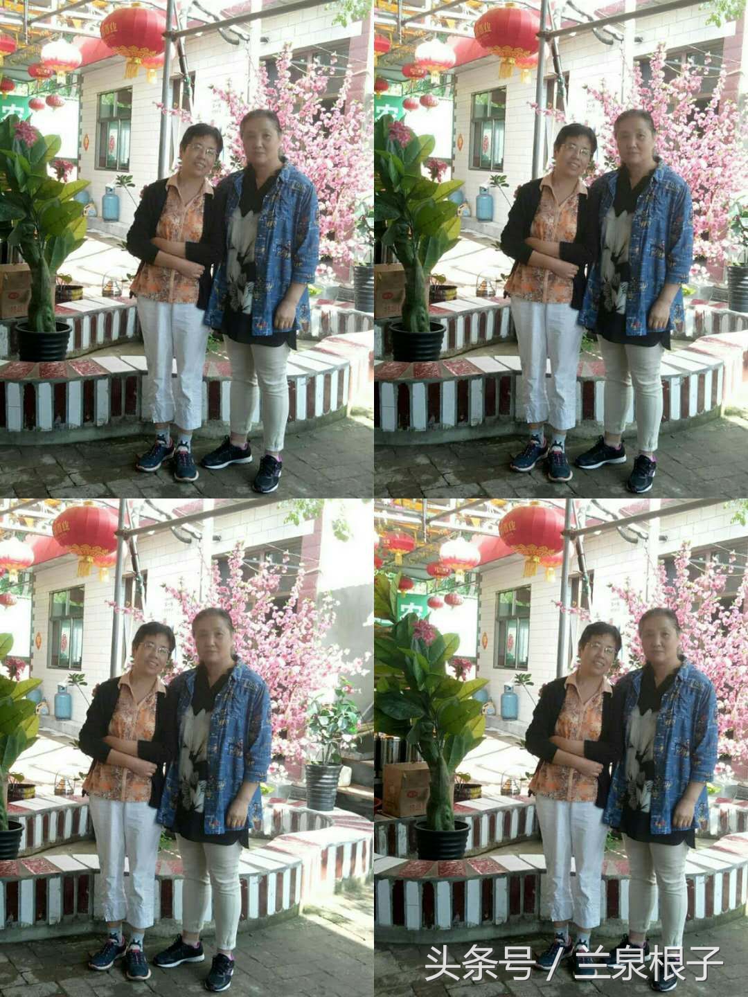 四十六年后再聚首,46年后的重逢