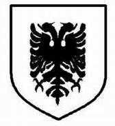 二战德国*党**卫军45个作战师的名称标志的由来以及他们之间的区别