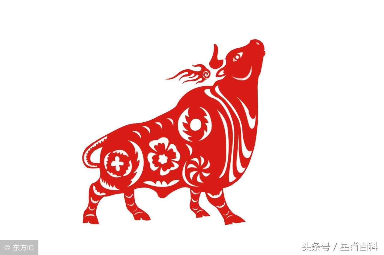 怎样佩戴十二生肖守护佛,吉祥物怎么戴身上不会掉