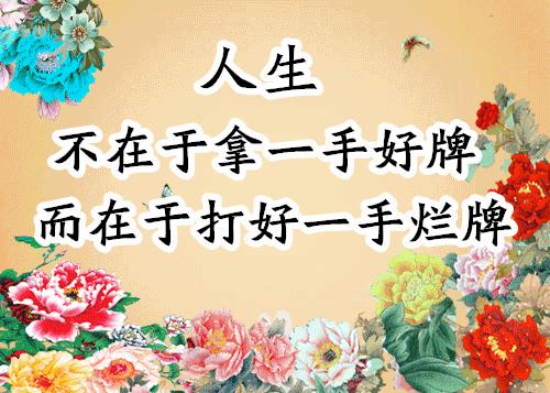 会动的图片大全大图,会动的花动态图片