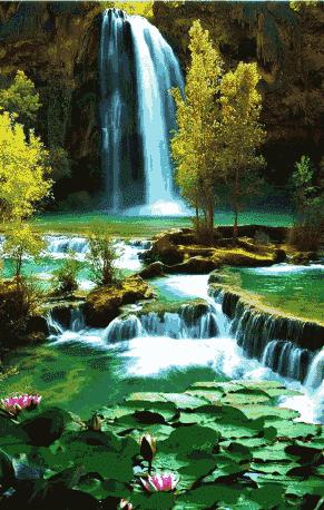 会动的图片大全大图,会动的花动态图片