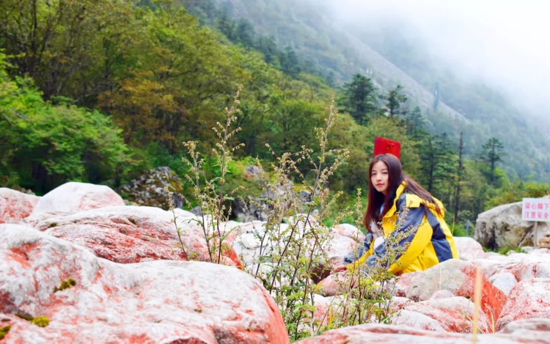 「教师节」木格措免门票，观光车5折、游船票5折！