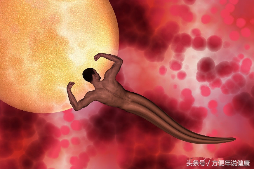 始终不能怀孕？千军万马只有1个受精，这4个原因不要耽误了你