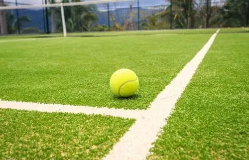 丽江市一中校园,285所网球特色学校