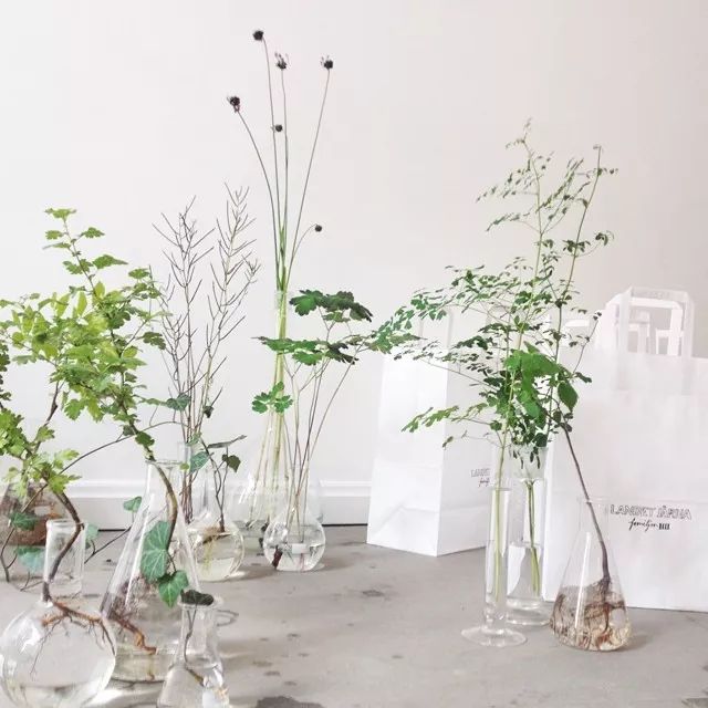 世界上最好的小花店,文艺复古小花店