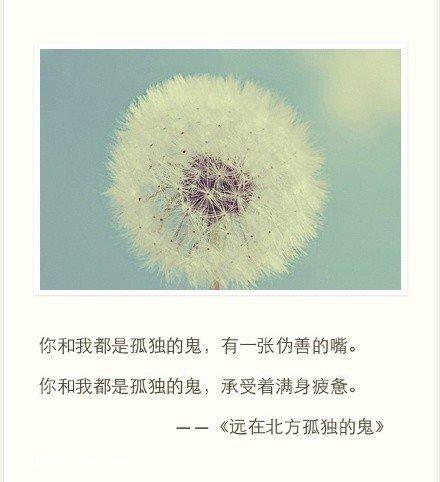 抖音最火民谣歌曲合集,抖音最火民谣歌曲完整版最近