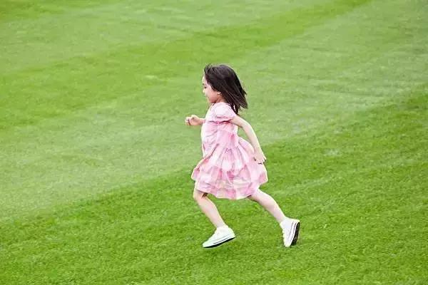 状物类作文的写作方法,高中生作文写作方法与技巧