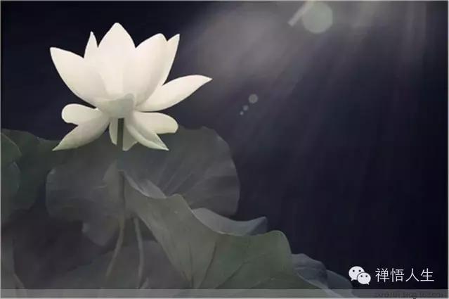 佛说爱情姻缘与人生前世缘分