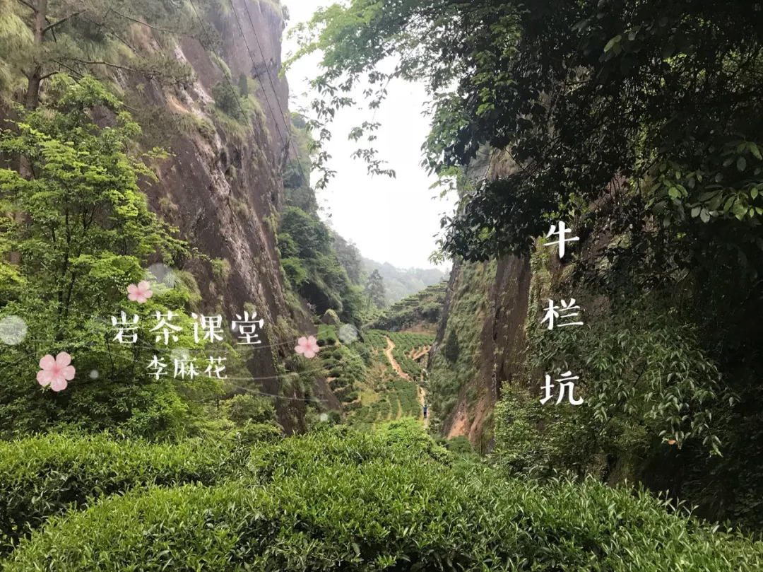 讲解朝花夕拾中的一个故事,朝花夕拾每一个故事的读书笔记