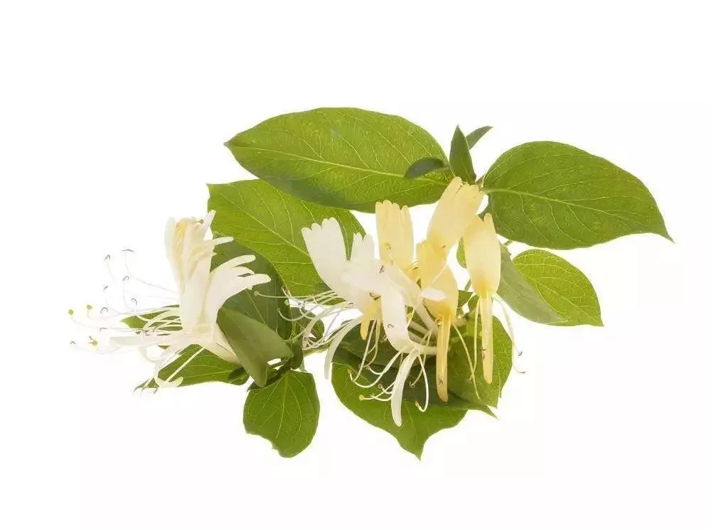 崔玉涛婴儿面部长了痱子用十滴水,小儿脸上长痱子怎样治崔玉涛