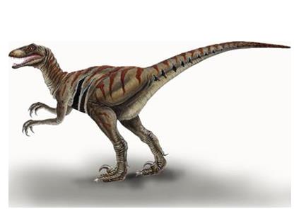 恐龙为什么如此巨大,恐龙为什么能长那么大的原因