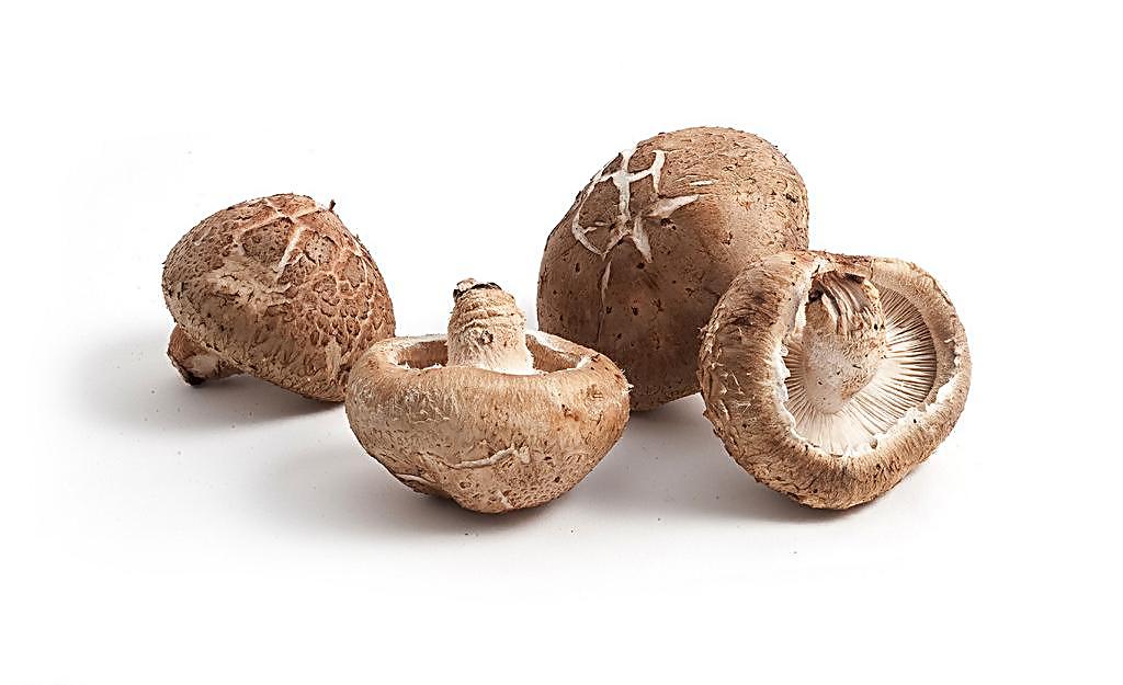 胆囊炎急性发作期可以吃鸡内金吗,胆囊炎日常饮食吃些什么好呢