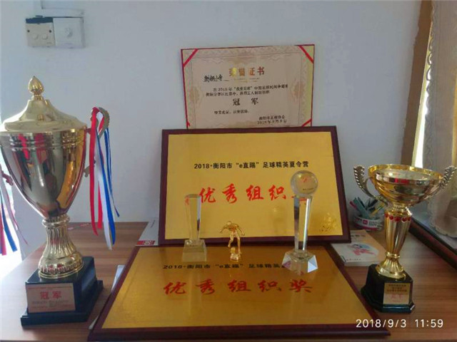 湖南省第十四届运动会常德足球赛,湖南省第十四届省运会足球比赛