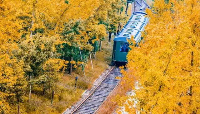 我存了256G的小黄片想和你深夜一起看