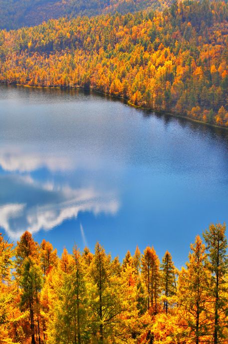 我存了256G的小黄片想和你深夜一起看