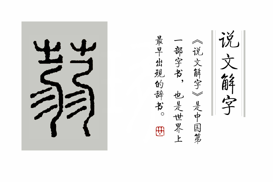 《说文解字》第53课:“茥”这个字,原来指这种适合男人吃的水果