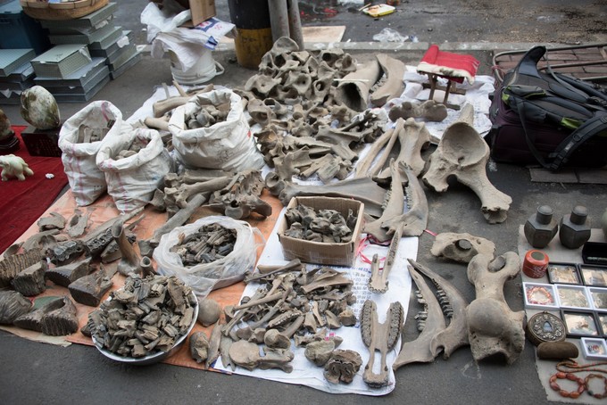 哈尔滨历史街区,哈尔滨老道外历史