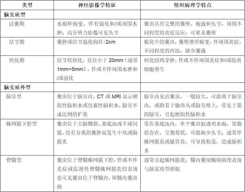 脑囊虫病是猪绦虫病吗,带绦虫虫卵特征