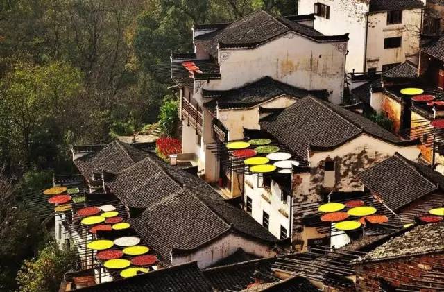 秋天最美婺源,秋季的婺源据说很美