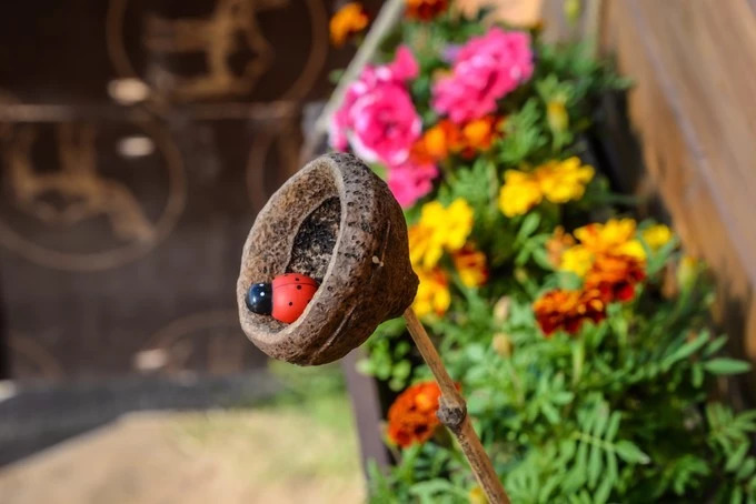 我们异地了24年，在你88岁时去莫斯科娶你——今夕传媒旅行家出品