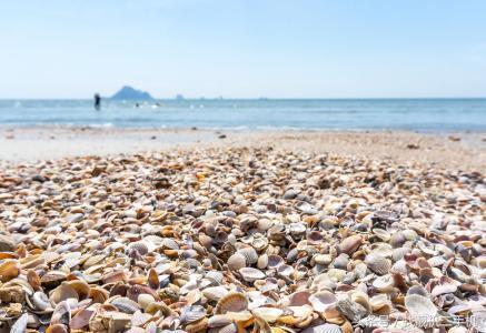 去泰国旅游不能碰什么东西,去泰国为什么不能碰有图案的叶子