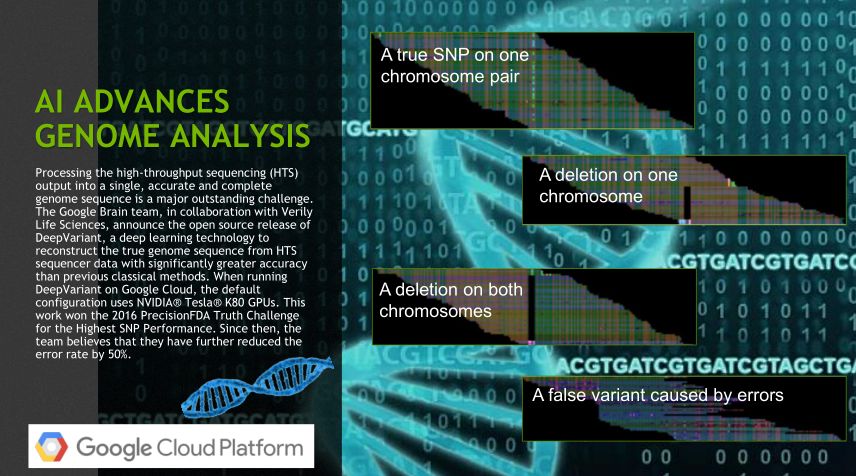 深度学习与医学影像,基于深度学习的医学影像分析