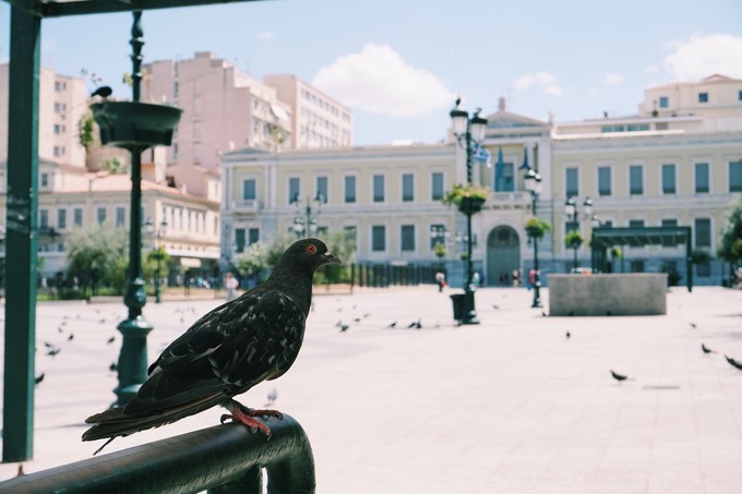希腊是浪漫圣地,希腊是一生中必须要去的地方之一