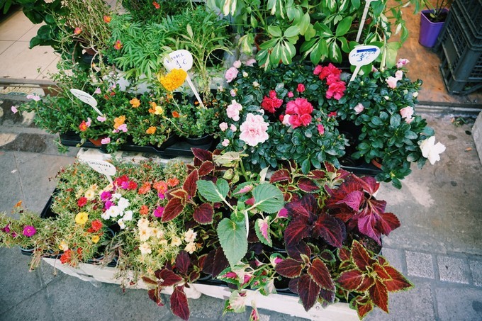 希腊是浪漫圣地,希腊是一生中必须要去的地方之一