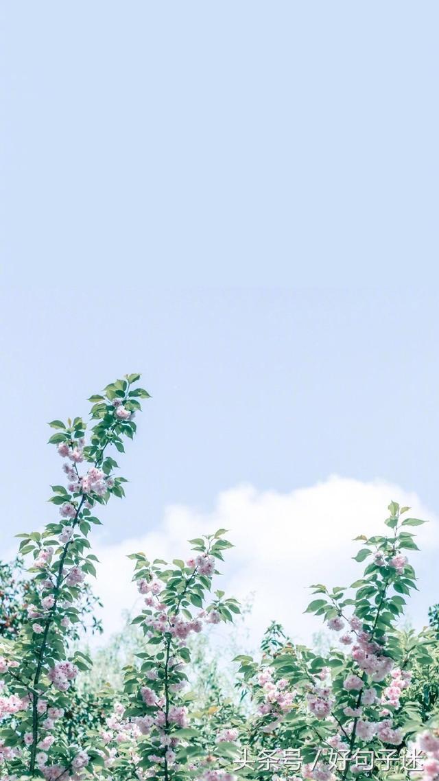 精辟有深度的签名,心情语录精致走心句句说到心窝上