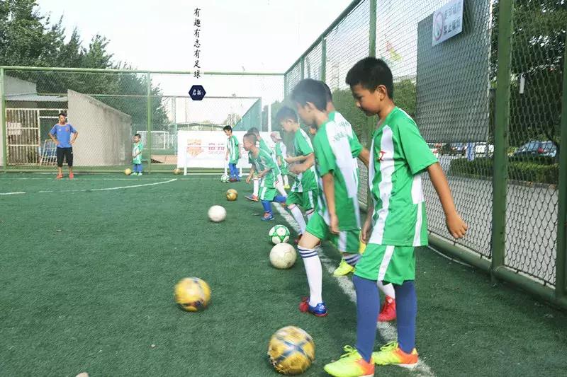 教师节感恩有你诗朗诵,教师节感谢一路相伴的良师益友