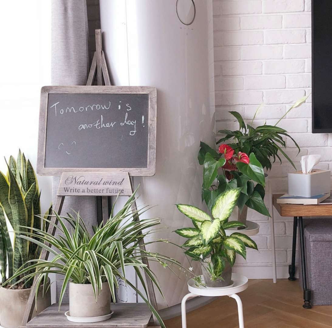 旅行博主改造北京小院,旅行爱好者装修房间