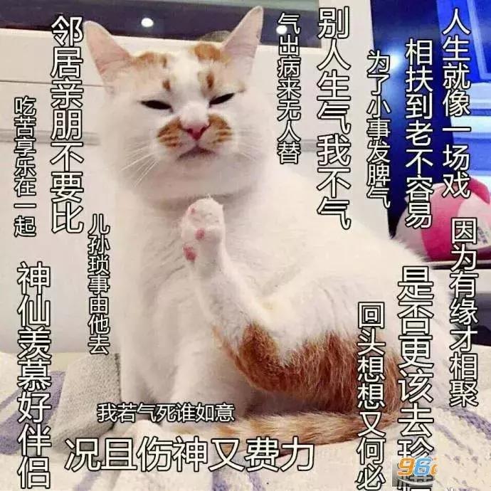 新手300块搞定全套彩妆可以吗,初学者便宜彩妆全套推荐