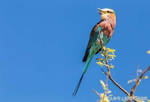 视觉中国“维权创收”，图片微利时代生存法宝？