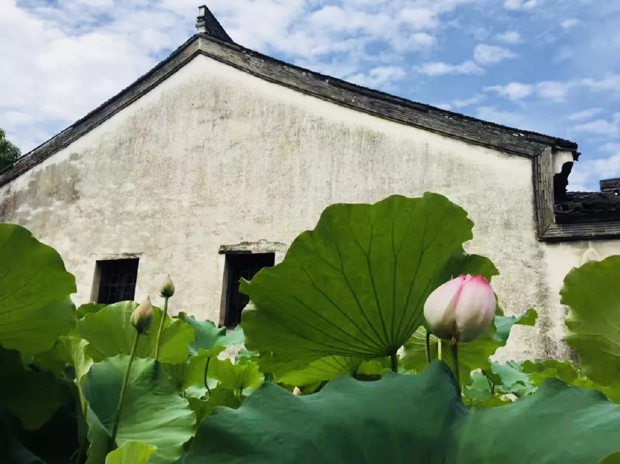 书院中国基金会,中国茶文化推广专项基金